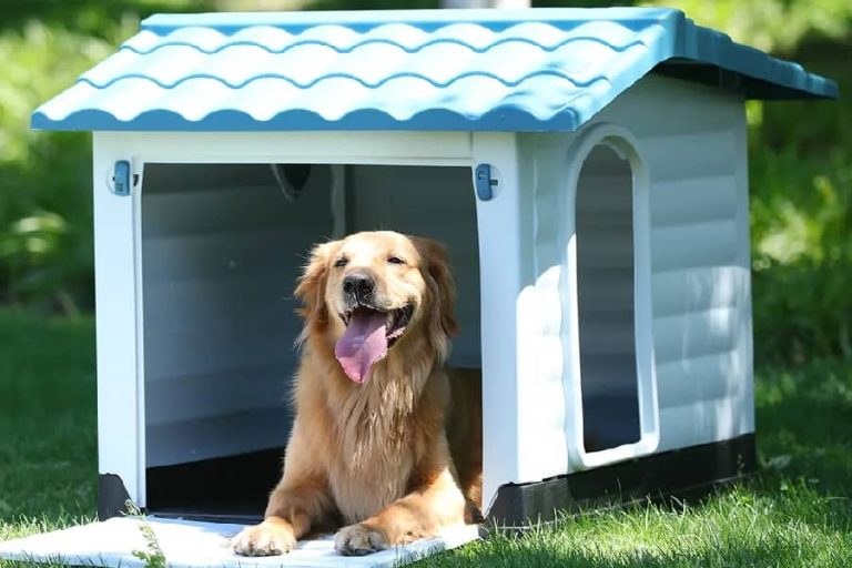 Which places in the home are not suitable for setting up dog houses